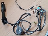 Front door wiring loom