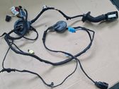 Front door wiring loom
