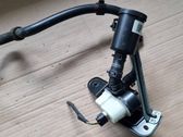 Rear door rubber seal (on body)