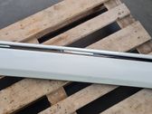Front door trim (molding)