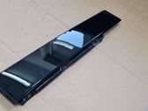 Rear door glass trim molding