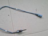Abgastemperatursensor