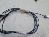 Other wiring loom
