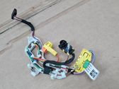 Other wiring loom