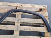 Fender trim (molding)