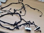 Other wiring loom