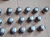 Spare wheel bolt