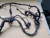 Front door wiring loom