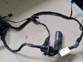 Front door wiring loom