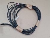 Other wiring loom