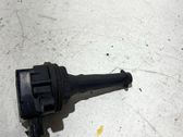 High voltage ignition coil