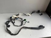 Front door wiring loom