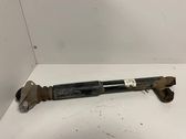 Stoßdämpfer hinten