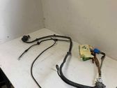 Other wiring loom