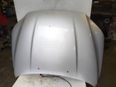Engine bonnet/hood