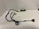Rear door wiring loom