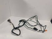 Front door wiring loom