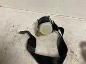 Sicherheitsgurt hinten