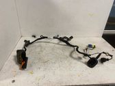 Other wiring loom