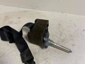 Rear seatbelt