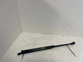 Tailgate/trunk strut/damper