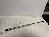 Tailgate/trunk strut/damper