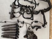 Fuel injection system set