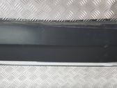 Rear door trim (molding)