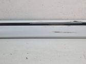 Front door trim (molding)