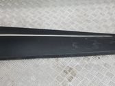 Front door trim (molding)