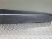 Front door trim (molding)