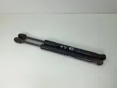 Tailgate/trunk strut/damper