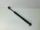 Tailgate/trunk strut/damper