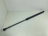 Tailgate/trunk strut/damper