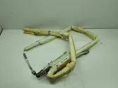 Roof airbag