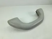 Front interior roof grab handle