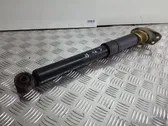 Rear shock absorber/damper