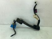 Tailgate/trunk wiring harness