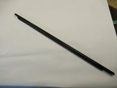 Rear door glass trim molding