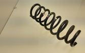 Front coil spring