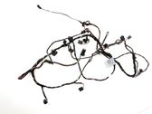 Other wiring loom