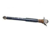 Rear shock absorber/damper