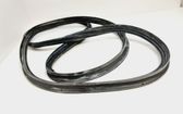 Trunk rubber seal (body)