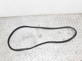 Trunk rubber seal (body)