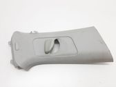 (B) pillar trim (top)