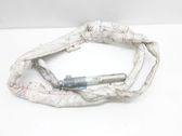 Roof airbag