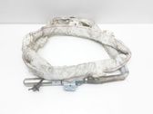 Roof airbag