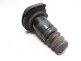 Rear coil spring rubber mount