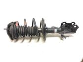 Front shock absorber with coil spring