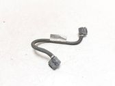 Headlight/headlamp wiring loom/harness